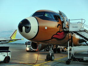 星空体育在线登录-商务部权威回应：中国是否将恢复购买波音飞机？，中国什么时候停飞波音